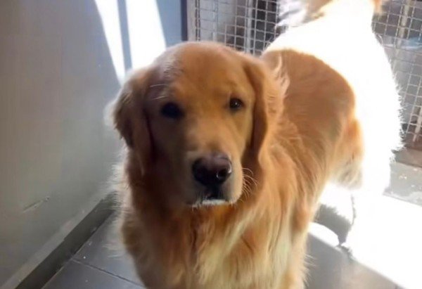 Reprodução/Instagram/@louisetaila