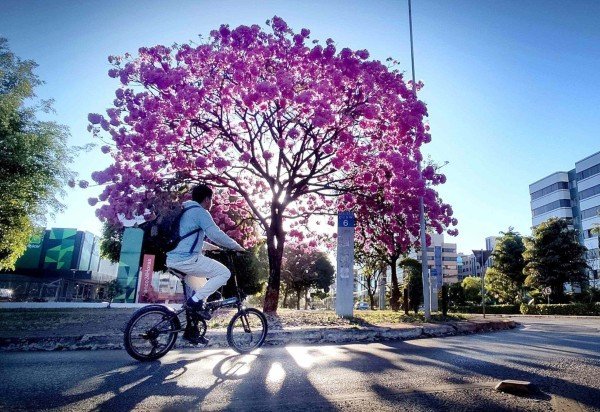 Ed Alves CB/DA Press