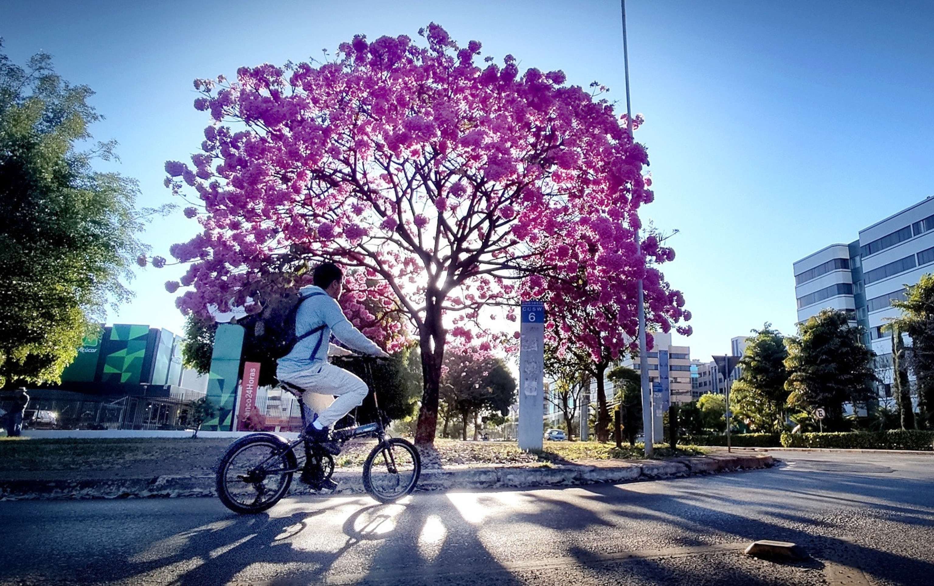 Com recordes de visitação, Brasília busca consolidar imagem como destino turístico