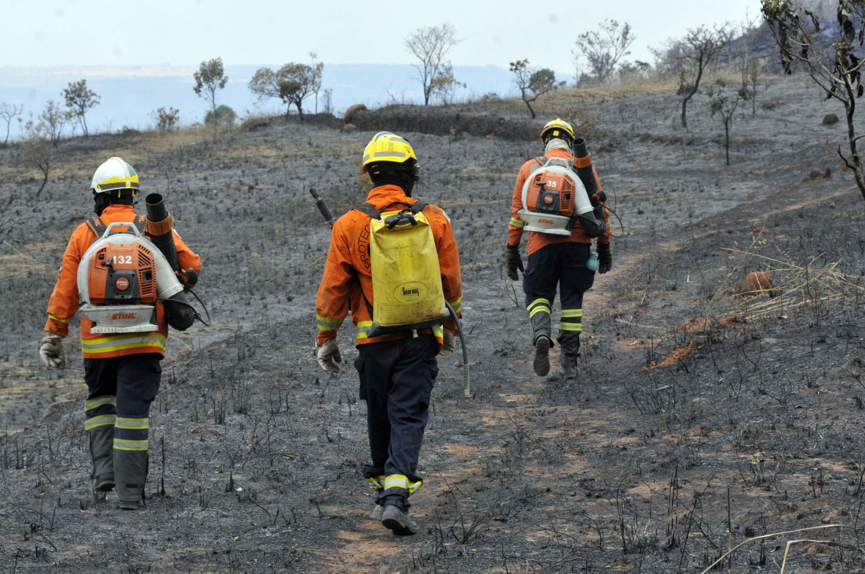 Calor intenso e incêndios florestais marcam o fim de semana no DF 