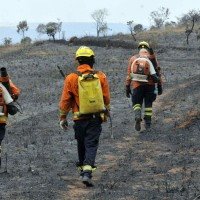 Bombeiros vão em direção aos focos de incêndio na região do Lago Oeste, que ainda persistiam até o fechamento desta edição -  (crédito: Marcelo Ferreira/CB/D.A Press)