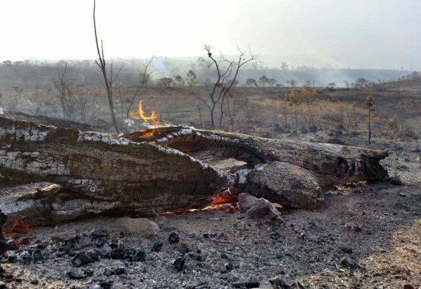  Marcelo Ferreira/CB/D.A Press