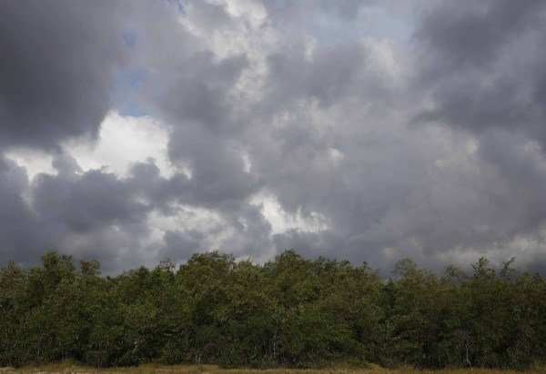 Fernando Frazão/Agência Brasil