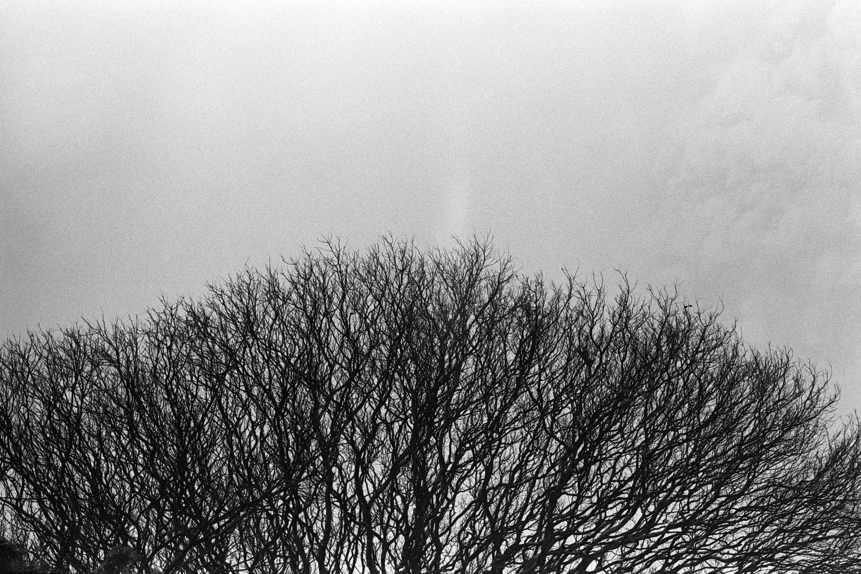 Exposição Meus Pequenos Espaços e, Meus Tempos, com Dalton Camargos e Rinaldo Morelli