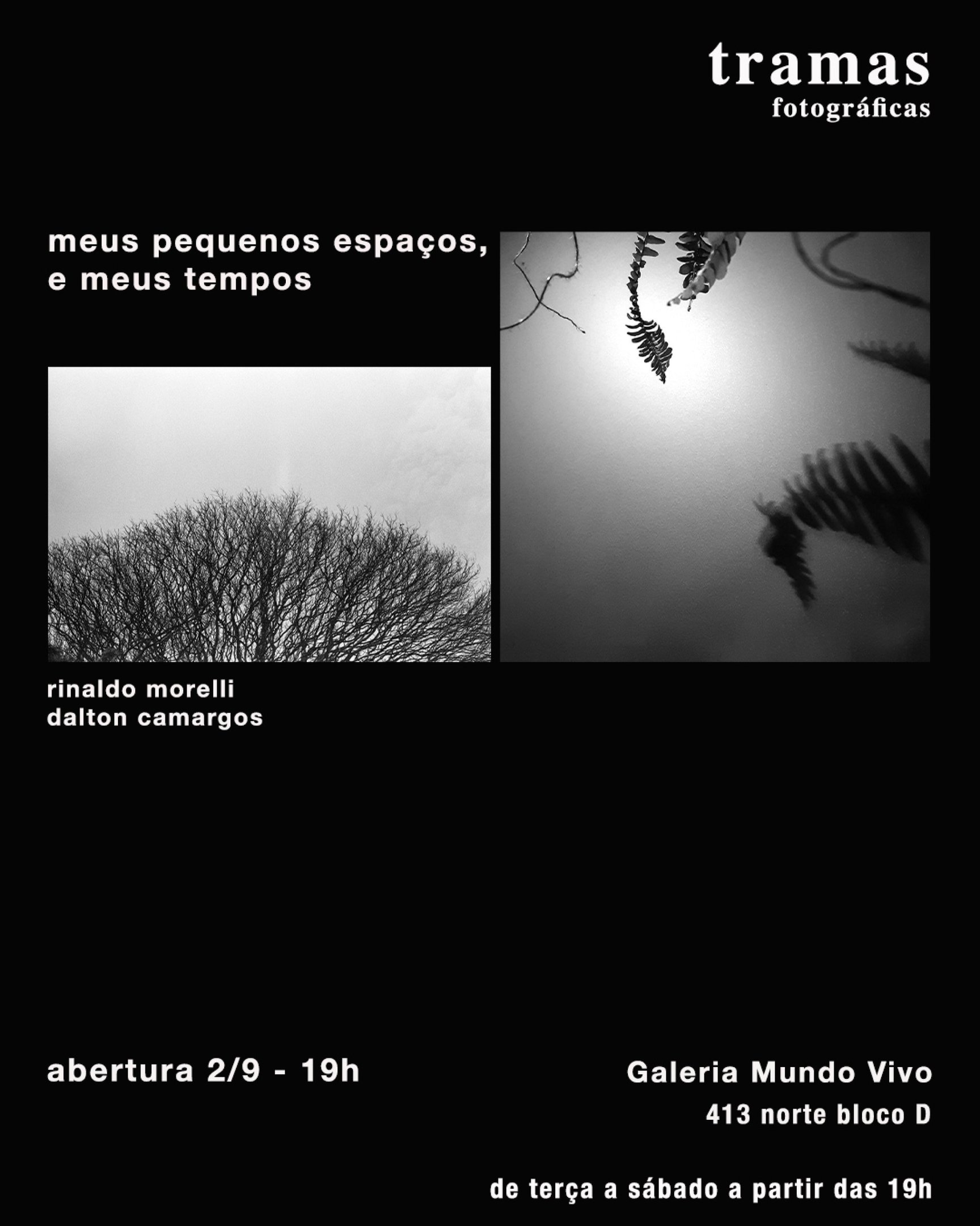 Exposição Meus Pequenos Espaços e, Meus Tempos, com Dalton Camargos e Rinaldo Morelli