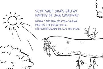  Livro Colorindo as Plantas de Cavernas 