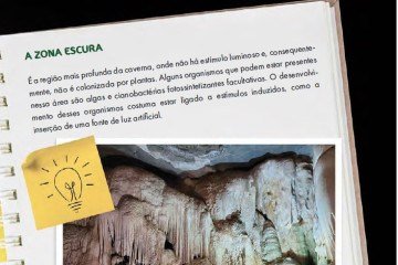 livro  Colorindo as Plantas de Cavernas 