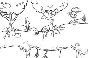 Página do livro  Colorindo as Plantas de Cavernas 