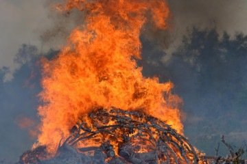 Incêndio em vegetação na EPIA Norte - (crédito: Ed Alves/CB/DA Press) Incêndio em vegetação na EPIA Norte - (crédito: Ed Alves/CB/DA Press)