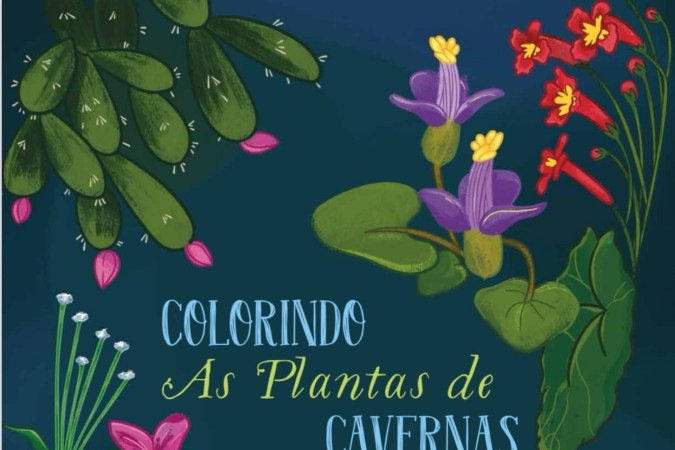 Capa do livro Colorindo as plantas das cavernas -  (crédito: Reprodução )
