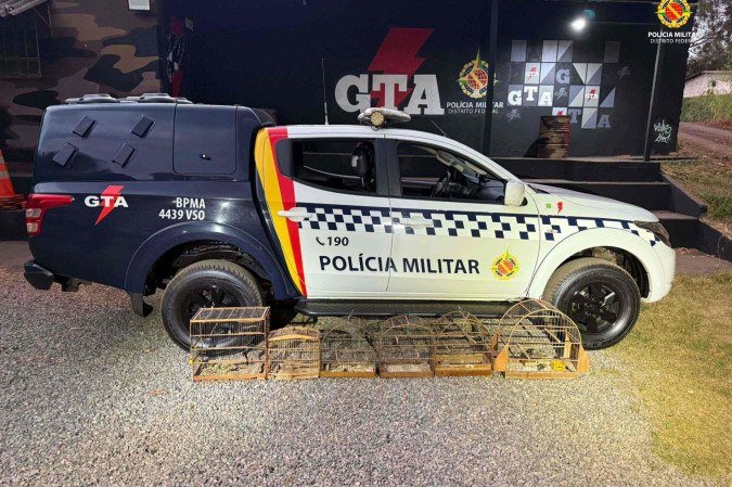 Aves silvestres são resgatadas de cativeiro irregular em Samambaia