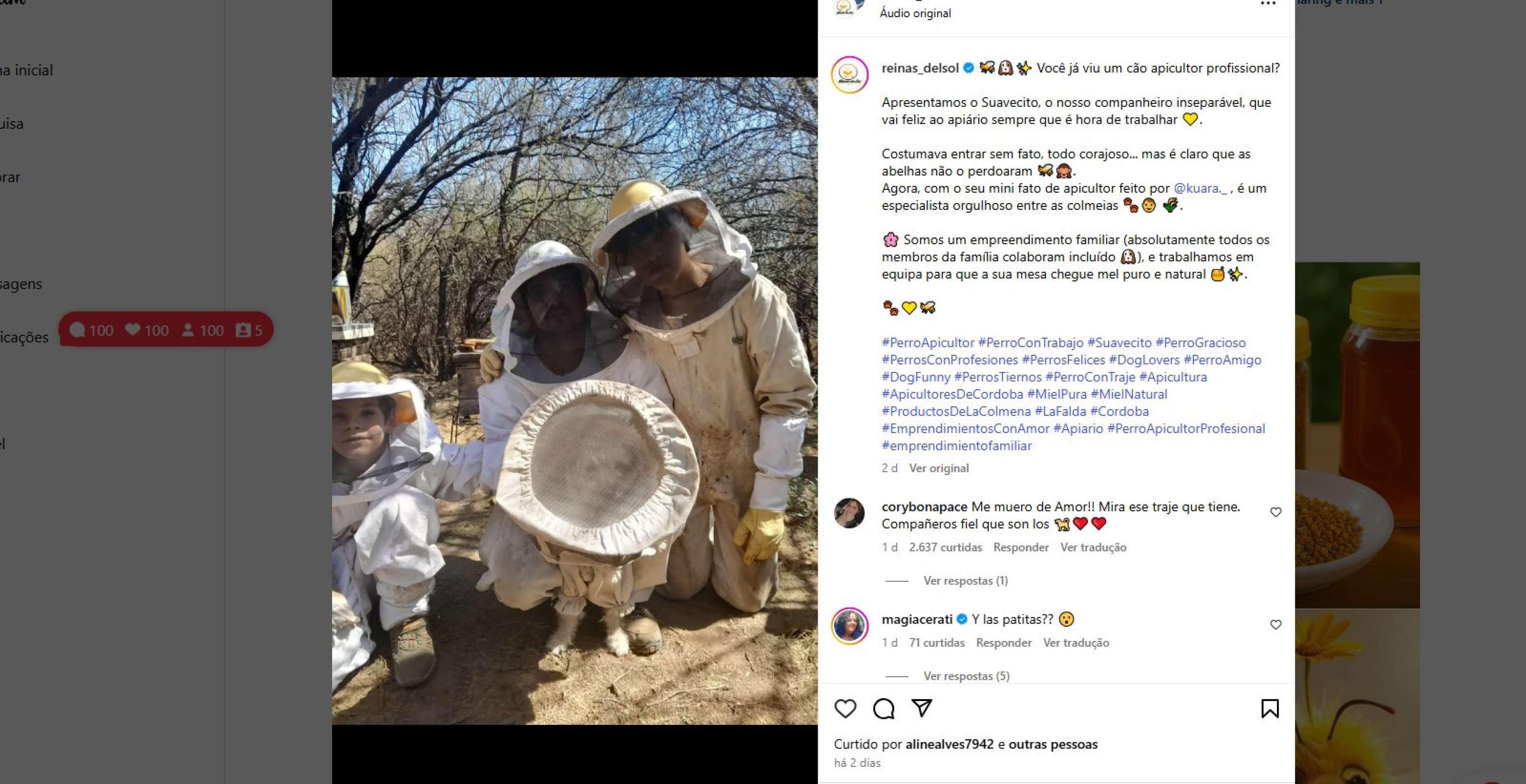 Conheça Suavecito, o cachorro apicultor