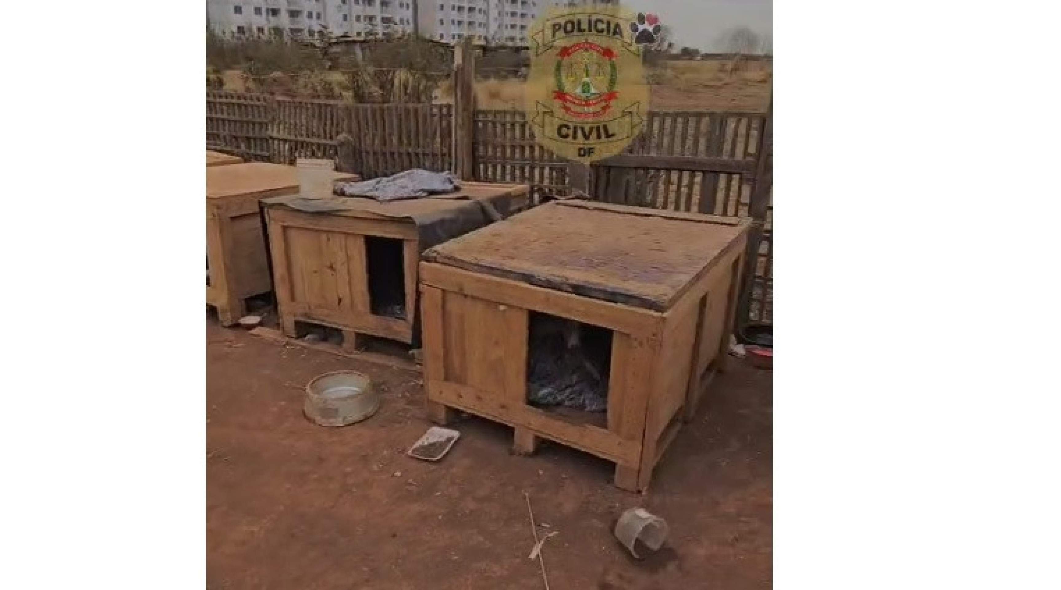 Polícia Civil faz ação em Ceilândia em apoio à protetora de animais ameaçada