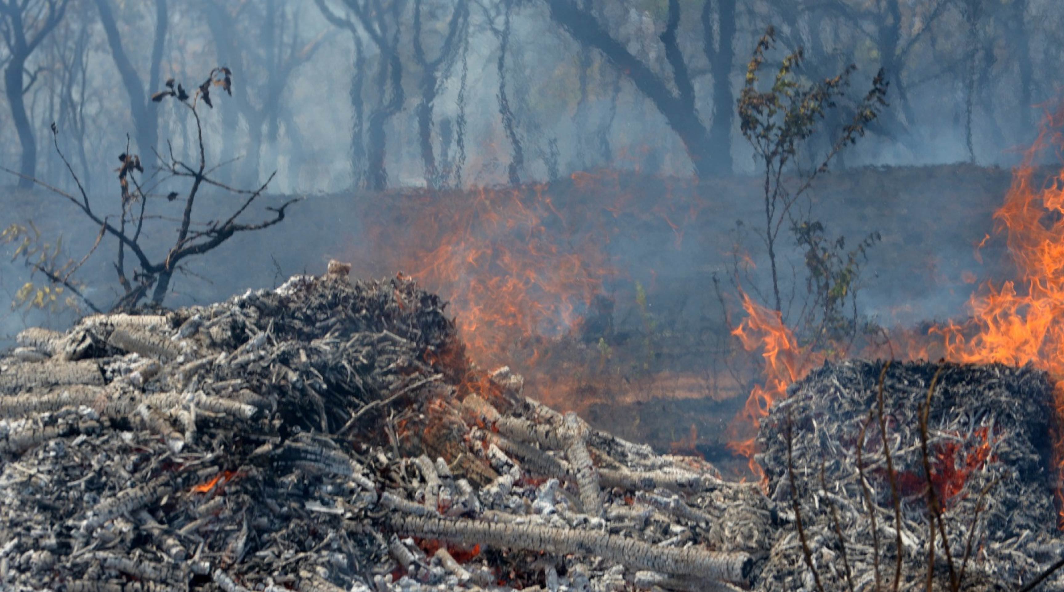 Incêndio em vegetação na EPIA Norte