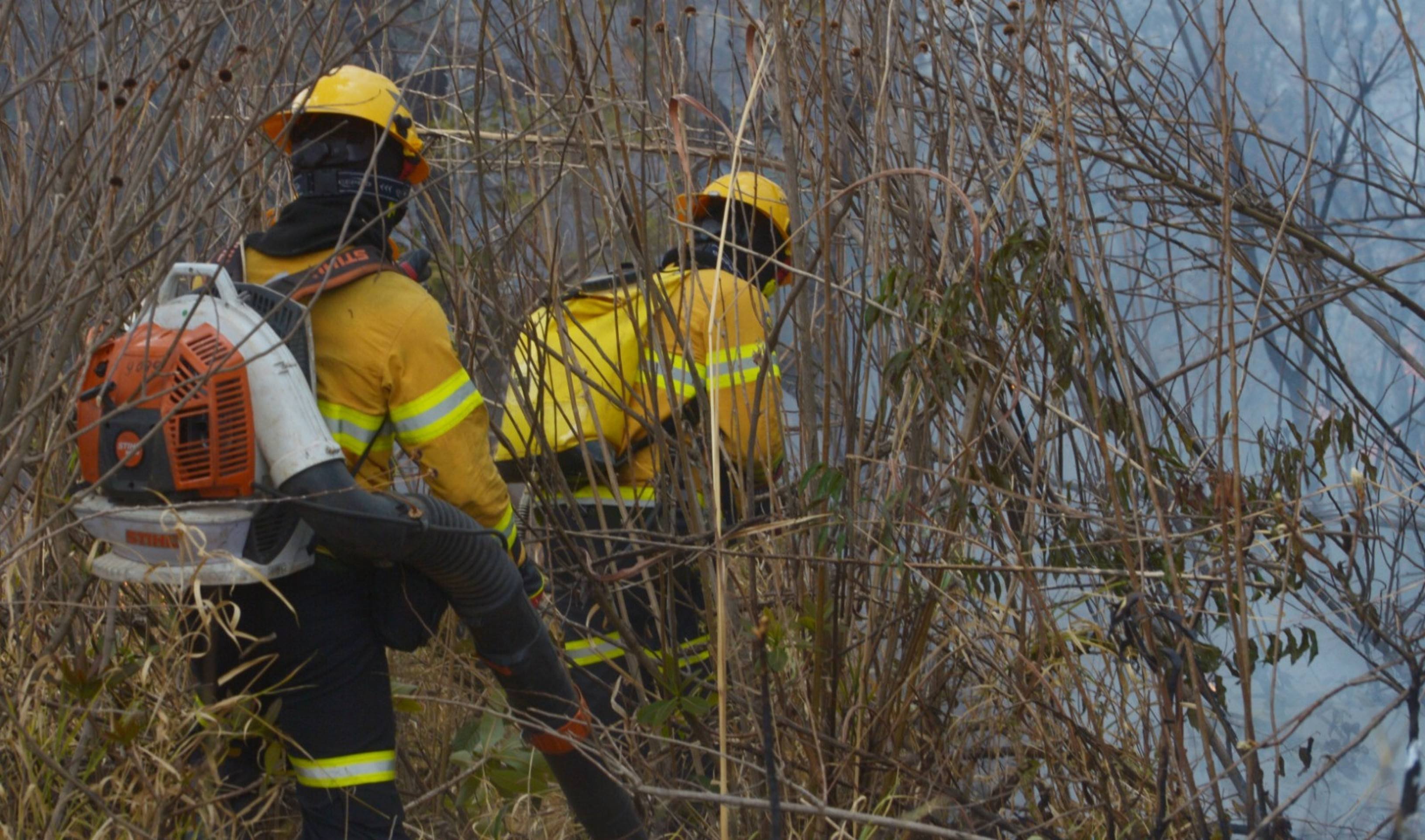 Incêndio em vegetação na EPIA Norte