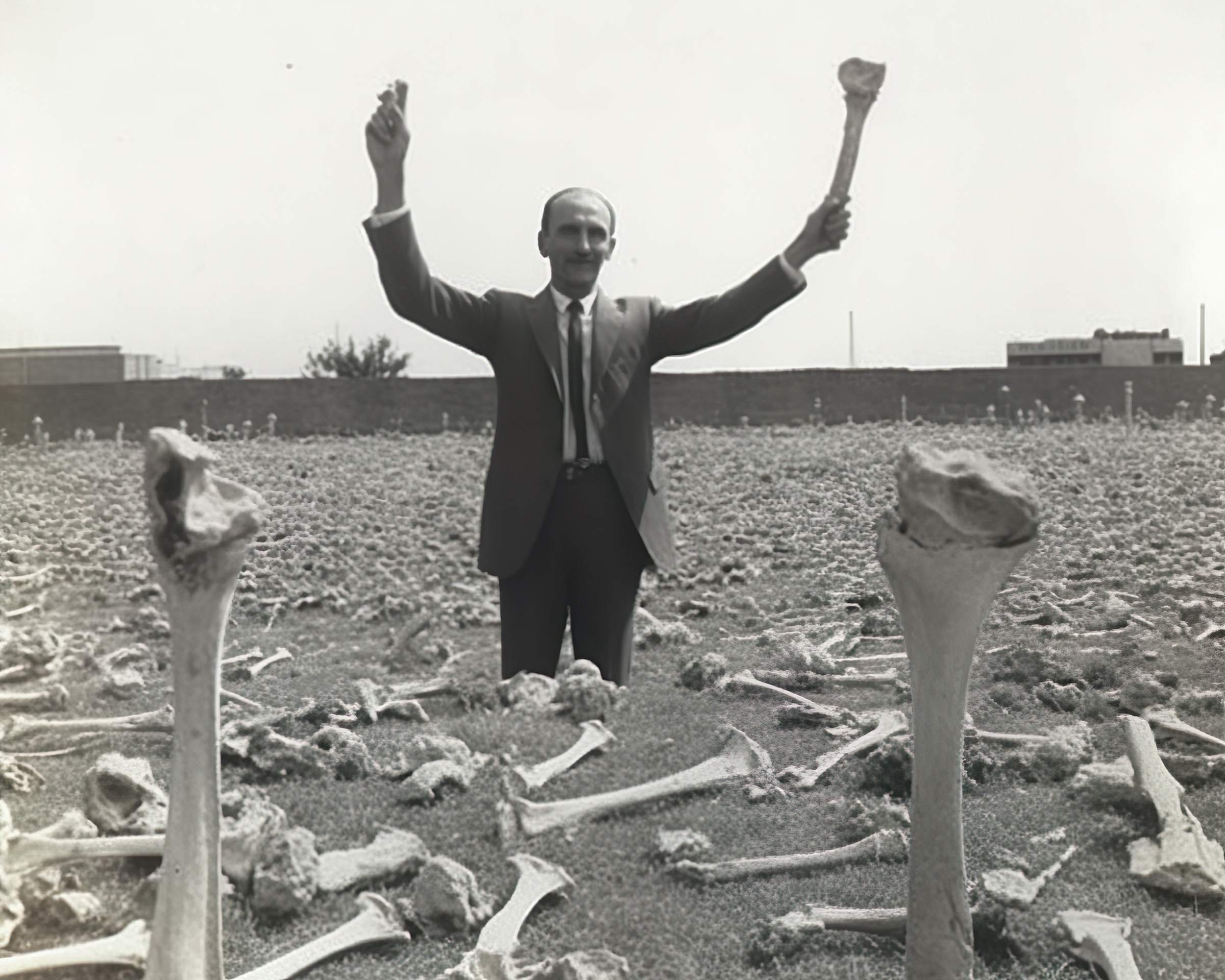 Arte e resistência: Museu do Amanhã recebe exposição sobre os Yanomami