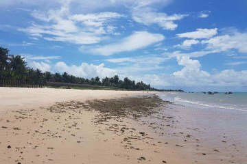 Casal foi flagrado em ato sexual na Praia da Penha -  (crédito: Reprodução / Tripadvisor)