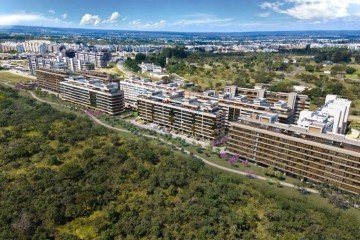 Preciosidades Emplavi – Quadra 500 – Sudoeste : Quanto mais raro, mais valorizado -  (crédito:   )