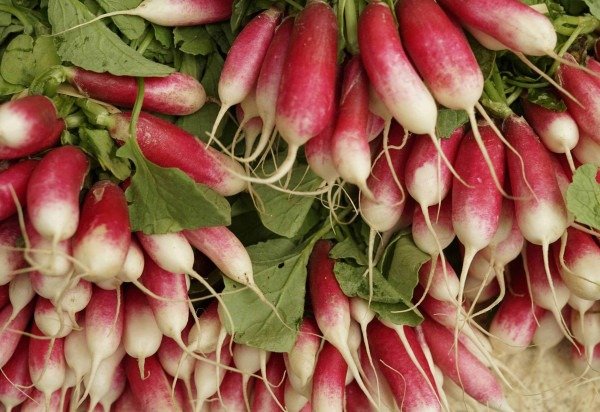 bruno neurath-wilson/Unsplash