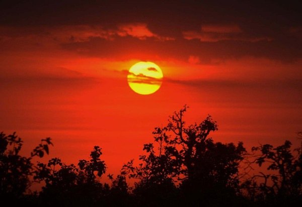 Ed Alves CB/DA Press