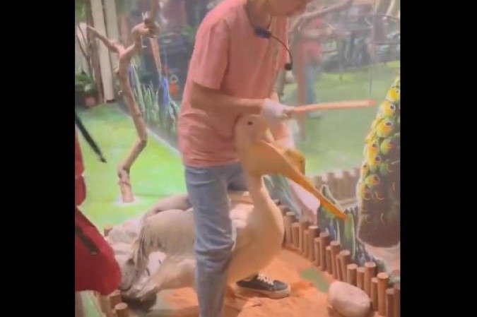 Pelicano viraliza nas redes sociais ao abocanhar pato - (crédito: Reprodução/X/@InternetH0F) Pelicano viraliza nas redes sociais ao abocanhar pato - (crédito: Reprodução/X/@InternetH0F)