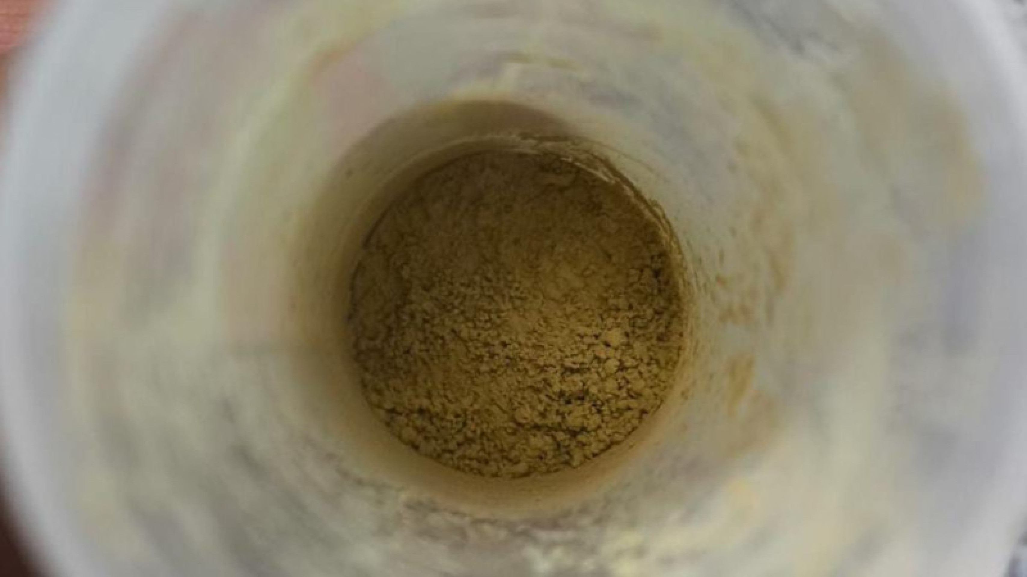 Pó a base de morina apresenta propriedades antimicrobianas, anti-inflamatórias e antioxidantes