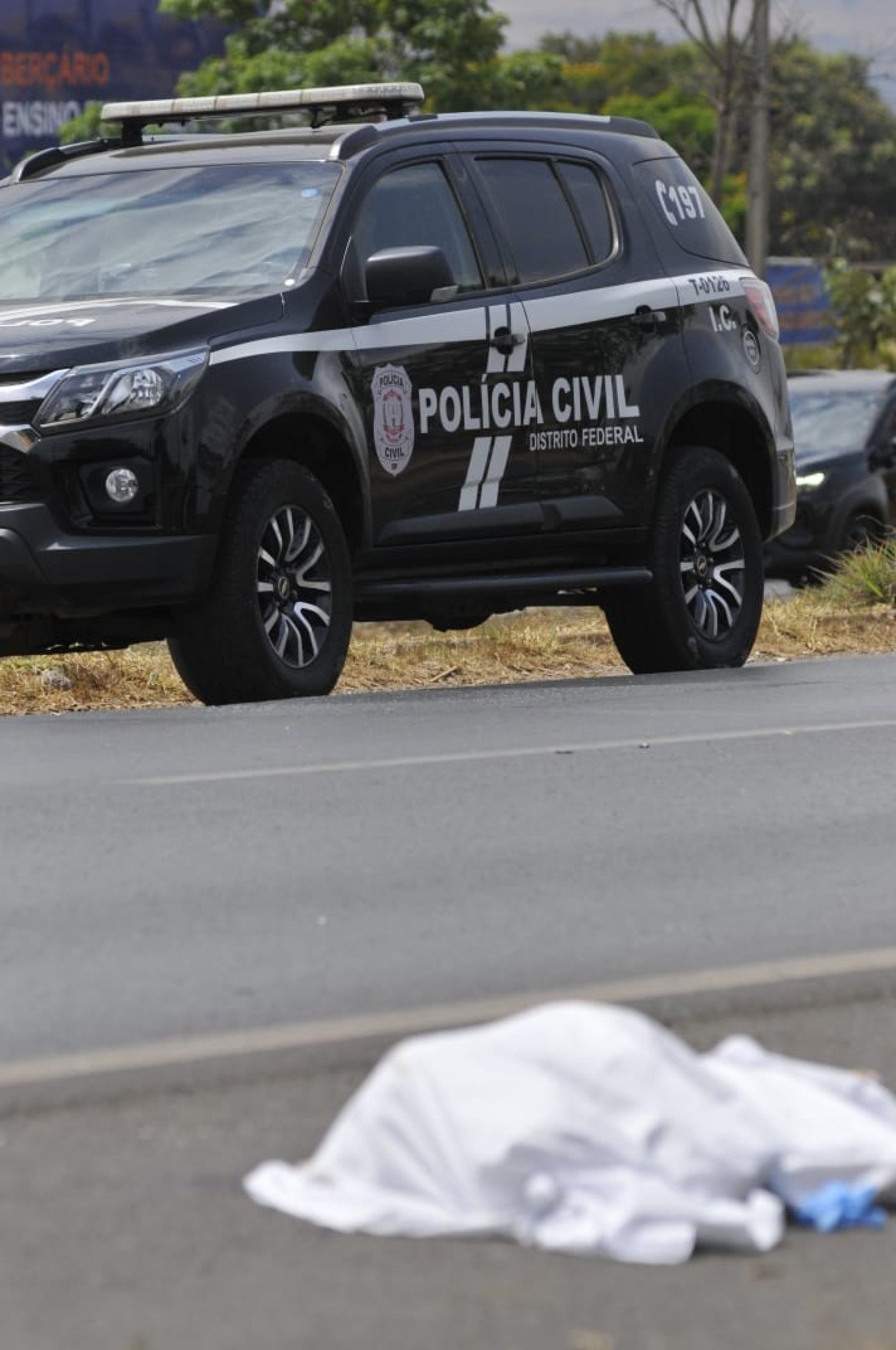 Atropelamento na BR 020