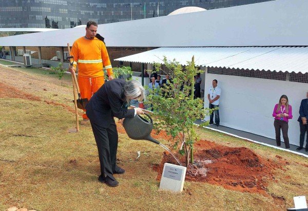 Victor Correia/CB/D.A. Press