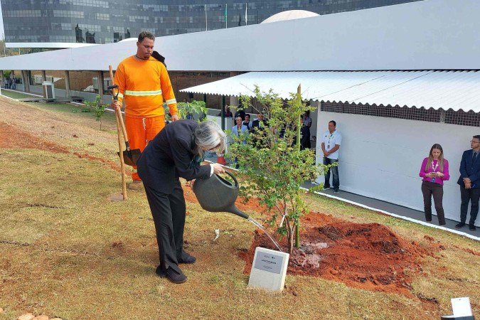A presidente do TSE, ministra Cármen Lúcia, plantou uma jabuticabeira durante a inauguração do Jardim da Democracia. -  (crédito: Victor Correia/CB/D.A. Press)