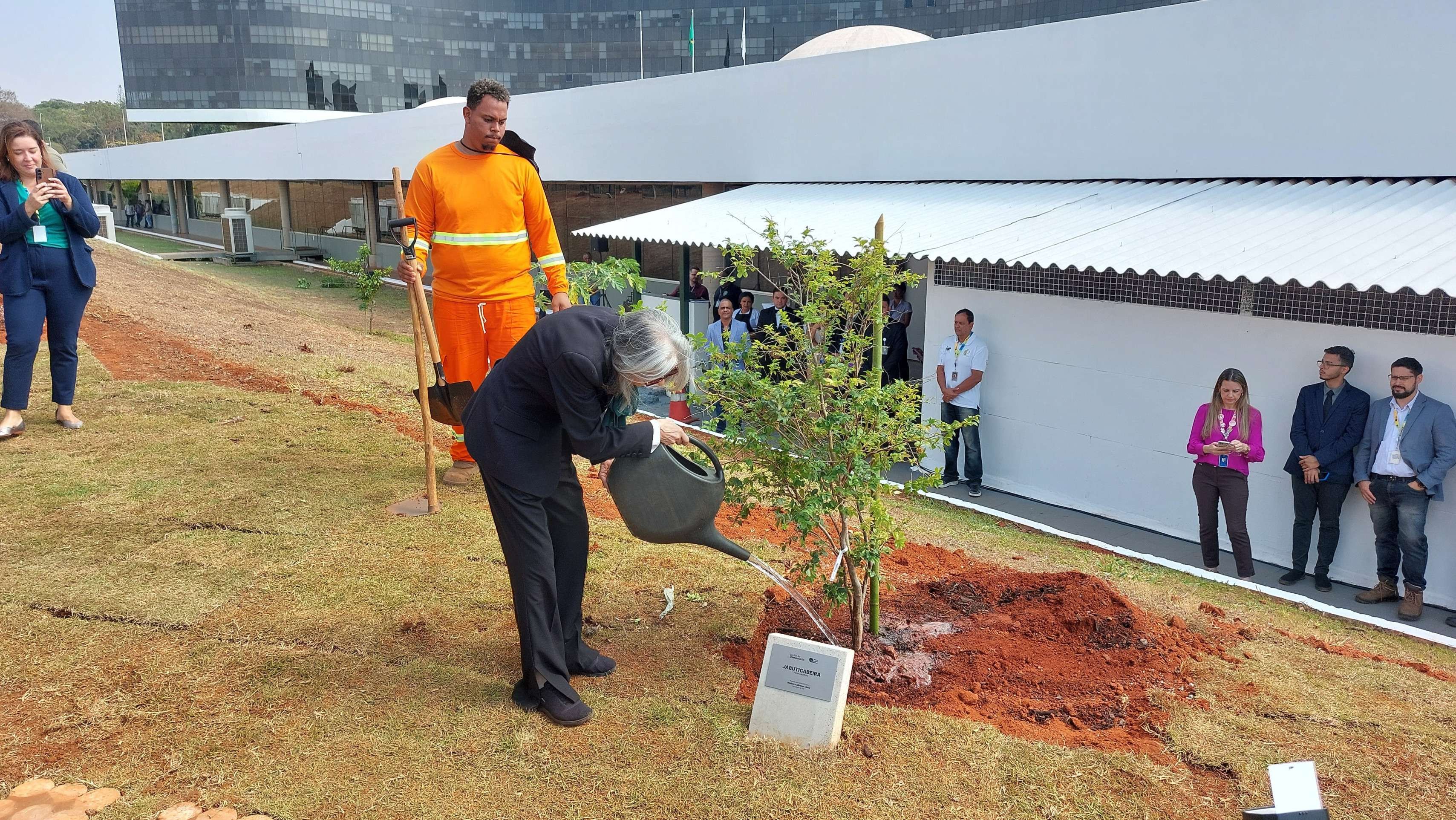 Ministros do TSE plantam mudas em ‘Jardim da Democracia’