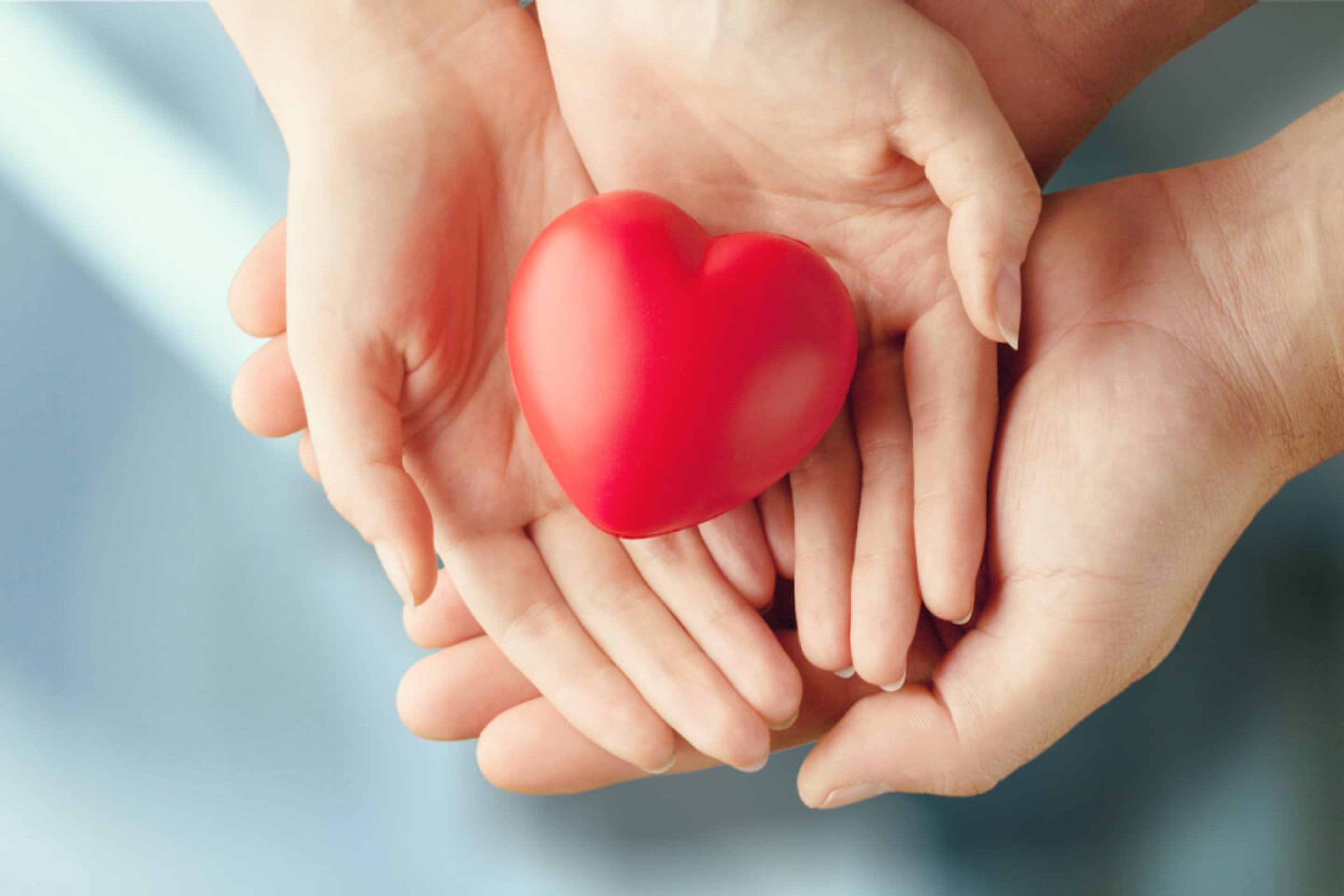 Doar medula óssea é um gesto de carinho que pode salvar vidas (Imagem: blood donation | Shutterstock) -  (crédito: EdiCase)