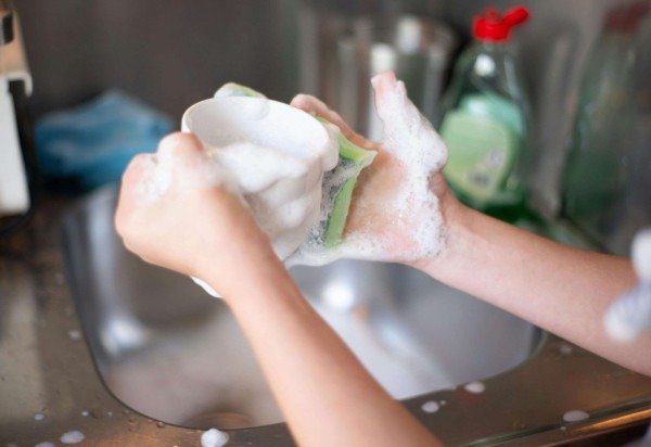 Kampus Production/Pexels