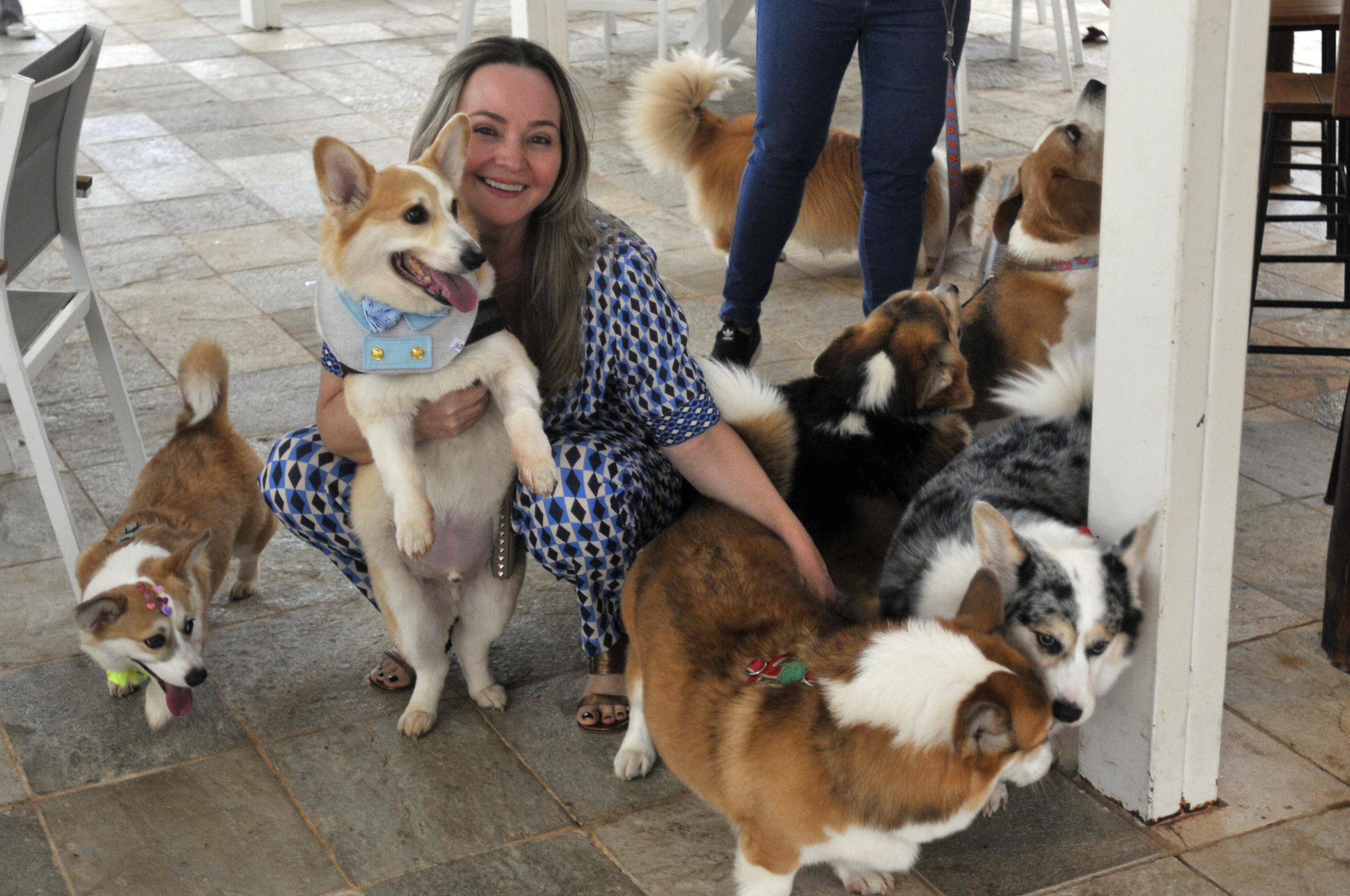  19/09/2025. Crédito: Minervino Júnior/CB/D.A Press. Brasil.  Brasilia - DF. Embaizada do Reino Unido em Brasília promove encontro de cães da raça Corgi. A Rainha Elizabeth II era conhecida pela sua grande devoção à raça.