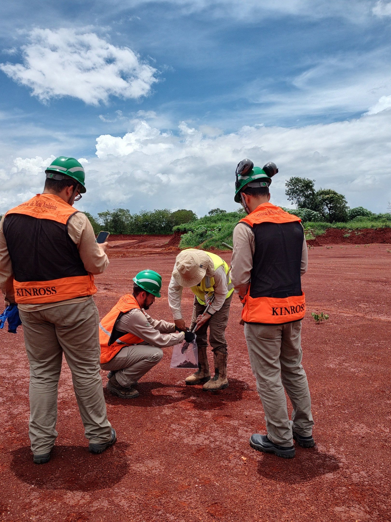 Pesquisa refloresta áreas devastadas por mineração de ouro em MG
