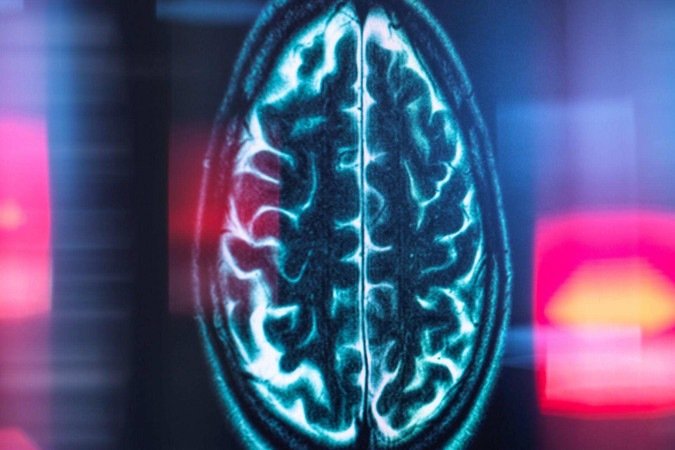 Os cientistas criaram uma arena para treinar e testar a capacidade dos ratos de estimar a distância que correram - (crédito: Stephen Duncan) Os cientistas criaram uma arena para treinar e testar a capacidade dos ratos de estimar a distância que correram - (crédito: Stephen Duncan)