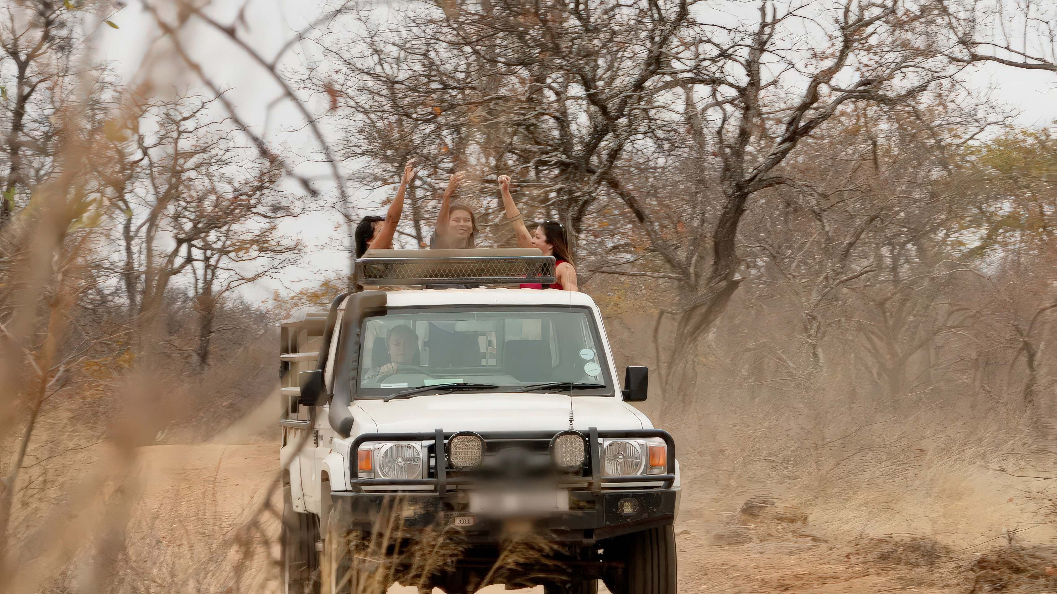 Spin-off de Largados e pelados, A tribo reúne ex-participantes do reality 