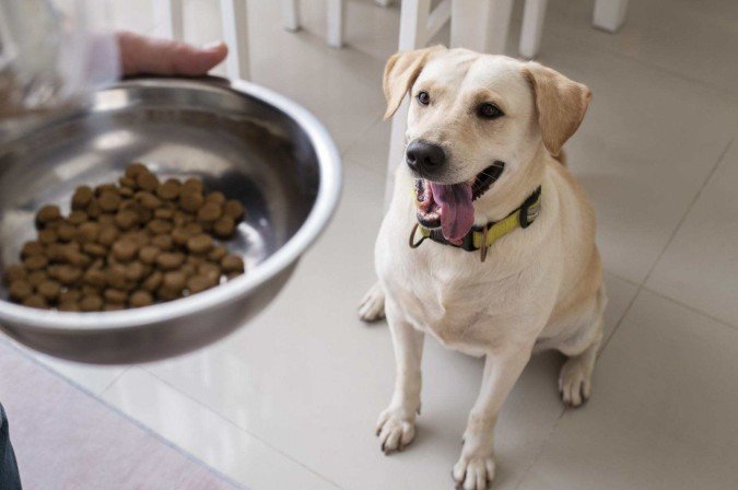 Uma dieta rica em ômega 3 e vitaminas antioxidantes pode retardar a progressão da doença