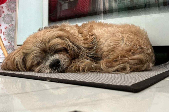 Antes de falecer, Charlotte dependia de ajuda para se alimentar e dormir 