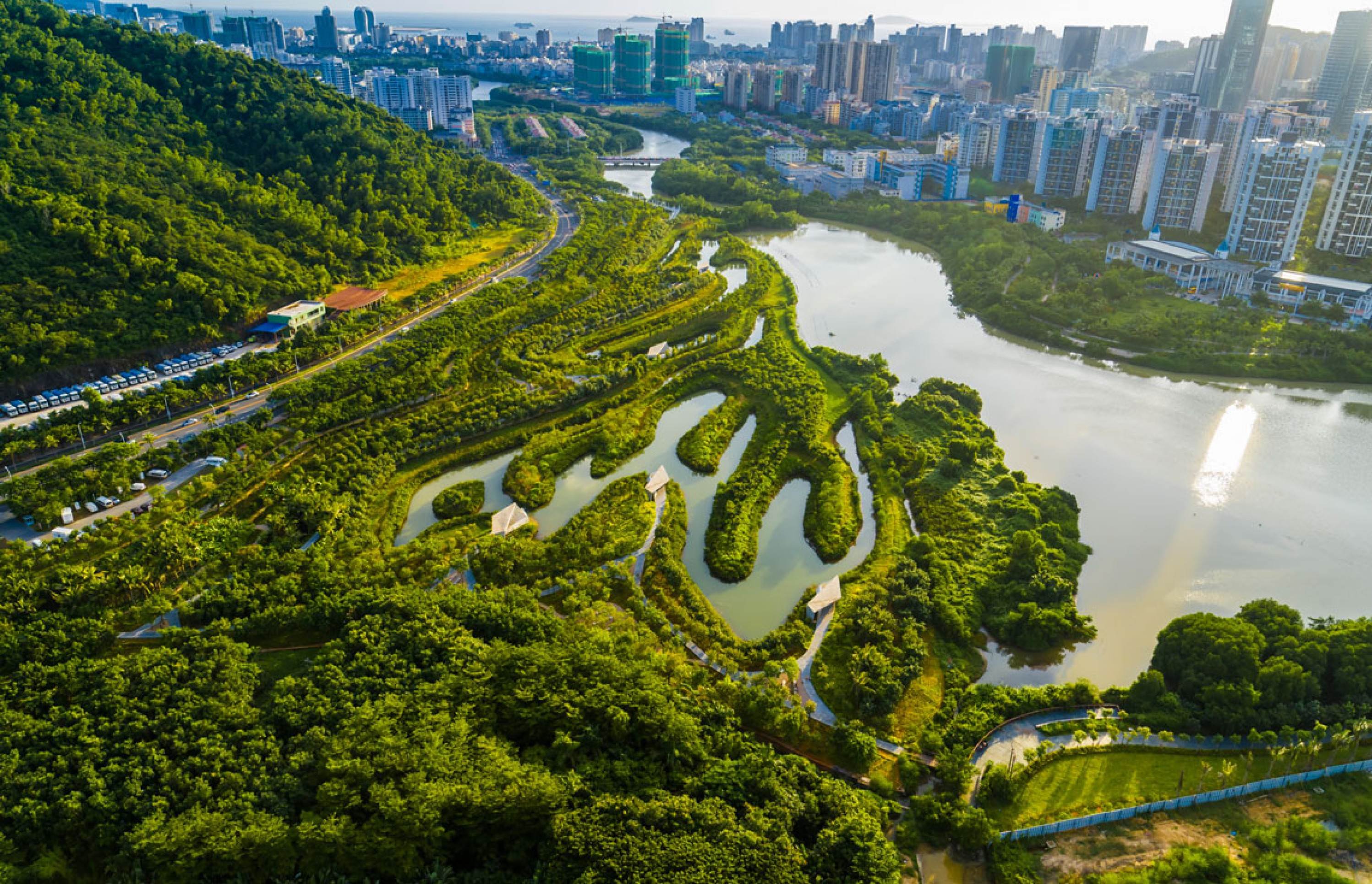 O que é cidade-esponja, conceito criado pelo arquiteto Kongjian Yu