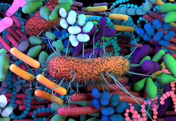 Harvard University/iStockphoto