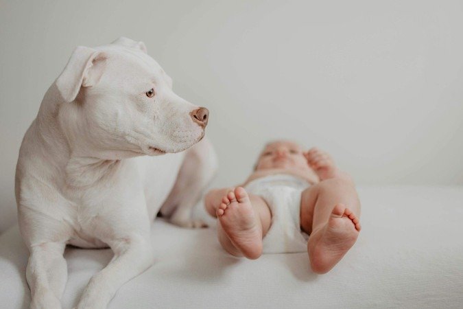Bebês expostos a alérgeno canino tiveram risco 48% menor de ter a doença -  (crédito: FreeStock/Divulgação )