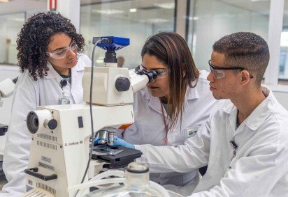 O programa ter&aacute; dura&ccedil;&atilde;o de 21 meses, com jornada de trabalho de 4 horas di&aacute;rias de segunda a sexta -  (crédito: Reprodu&ccedil;&atilde;o/Petrobras)