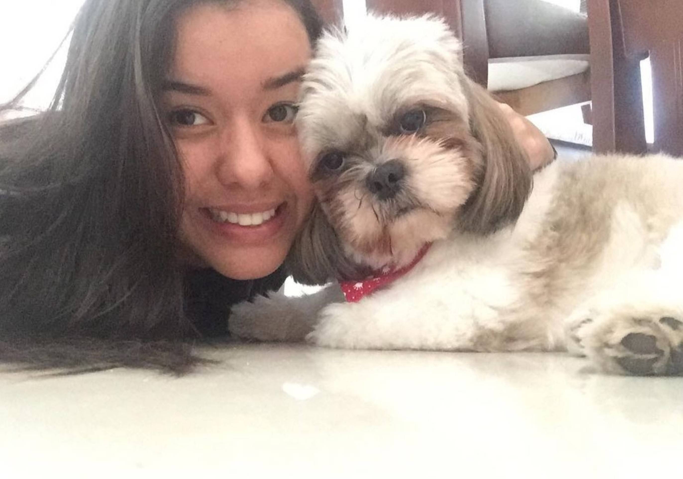 Pet influencer: bichos dão match e criam laços pelas redes sociais