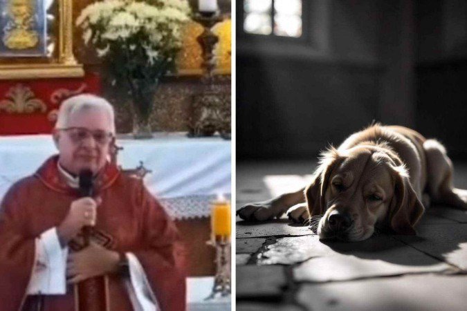 Padre pediu para que autoridades tomassem providências sobre cães que ficam na igreja - (crédito: Reprodução / Pascom / FreePik) Padre pediu para que autoridades tomassem providências sobre cães que ficam na igreja - (crédito: Reprodução / Pascom / FreePik)