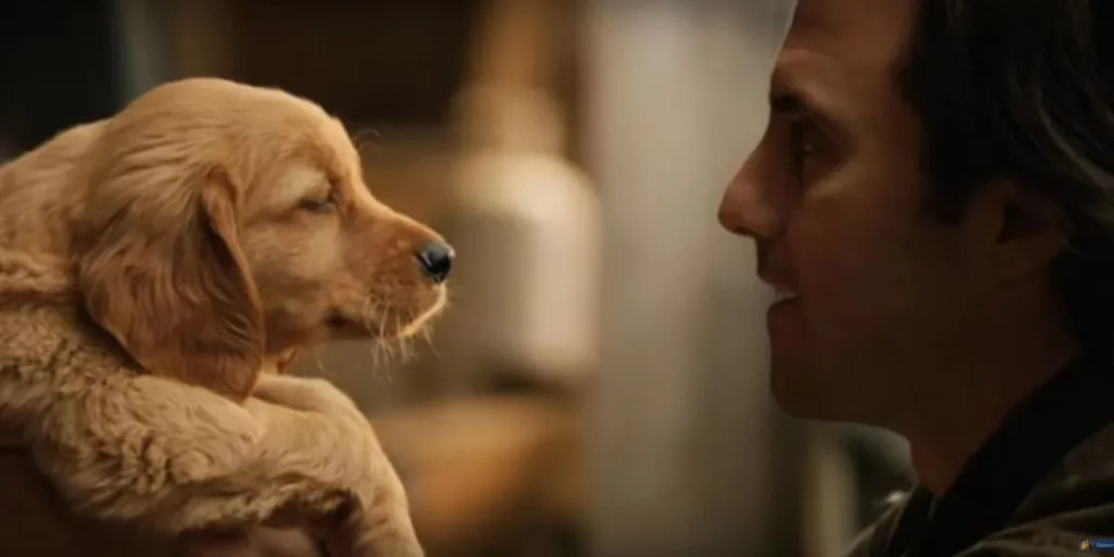Sessão da Tarde – Saiba qual filme a Globo exibe nesta segunda-feira -  (crédito: Obeservatório da TV)