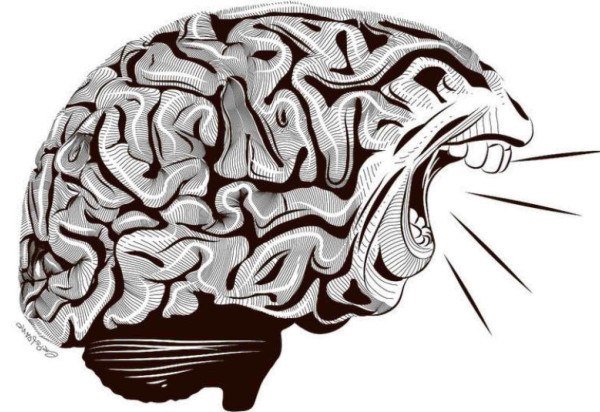  Cristiano Gomes/CB/D.A Press