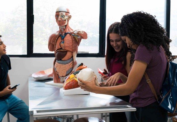 reprodução/ galeria Mochilão