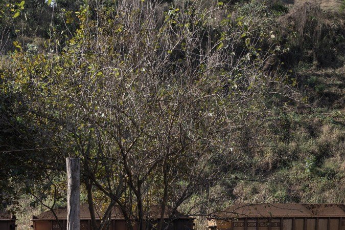 Antônio Dias, Minas Gerais