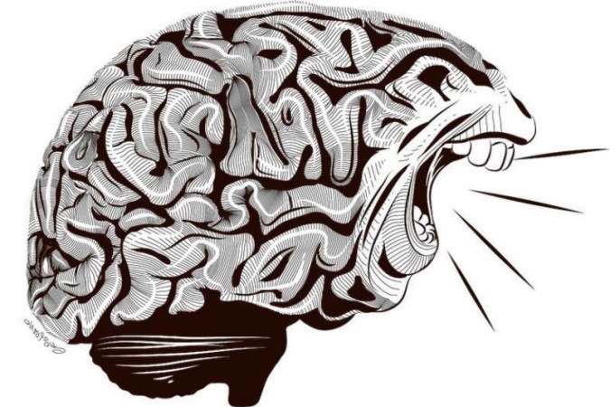 Fale o que pensa, é importante (só lembre de respeitar os outros) -  (crédito:  Cristiano Gomes/CB/D.A Press)