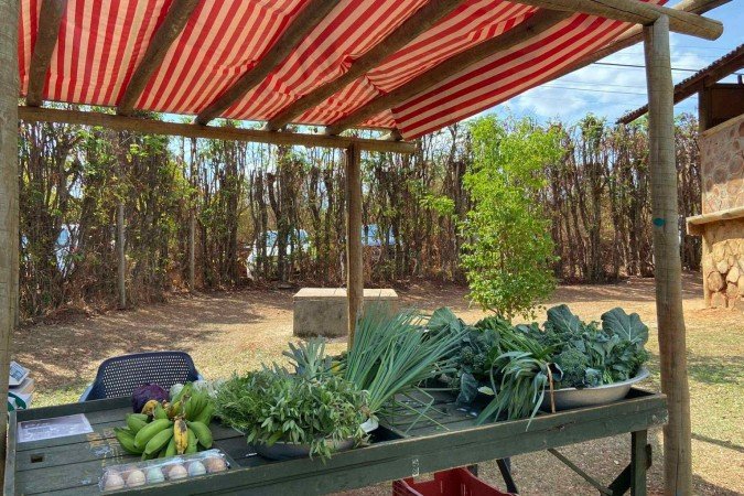  05/07/2024 Crédito: Marcelo Ferreira/CB/D.A Press. Brasil. Brasília - DF -  Produçao pecuária do DF, PAD-DF, Fazenda Entre-Rios ( Guzerá da Capital), criação de gado Guzerá. 